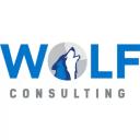 Wolf Consulting LLC