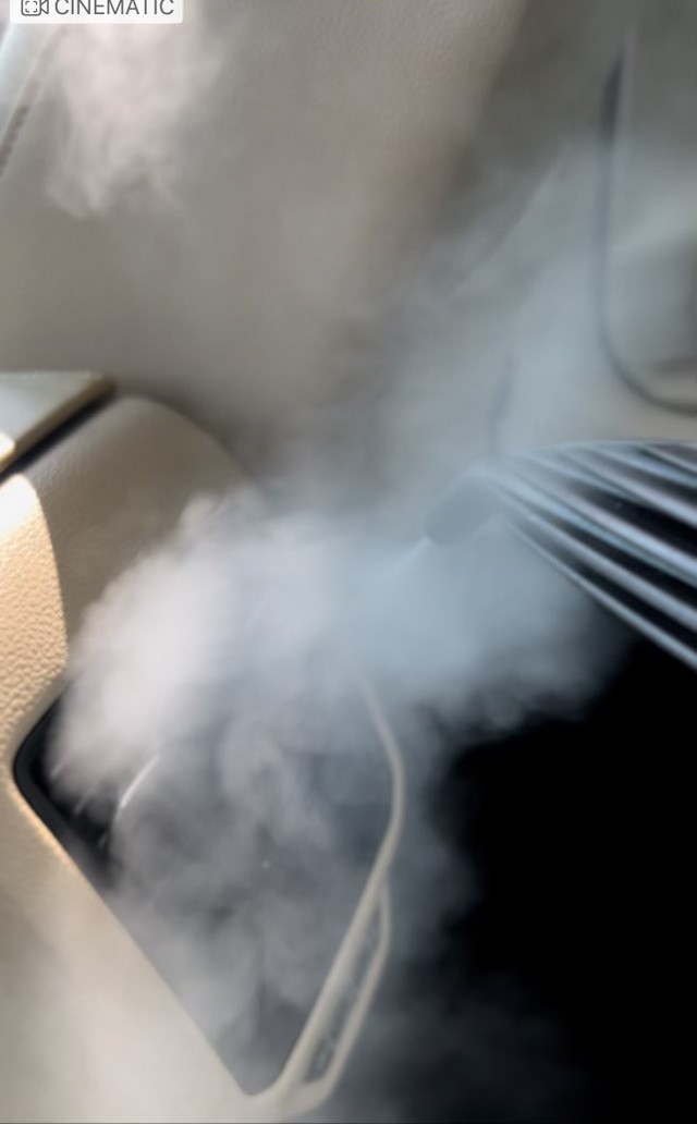 ADD-ON Steam Sanitation