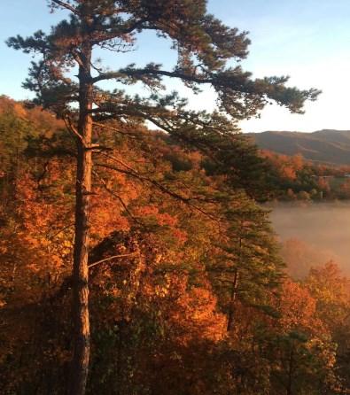 Your Smoky Mountain Retreat