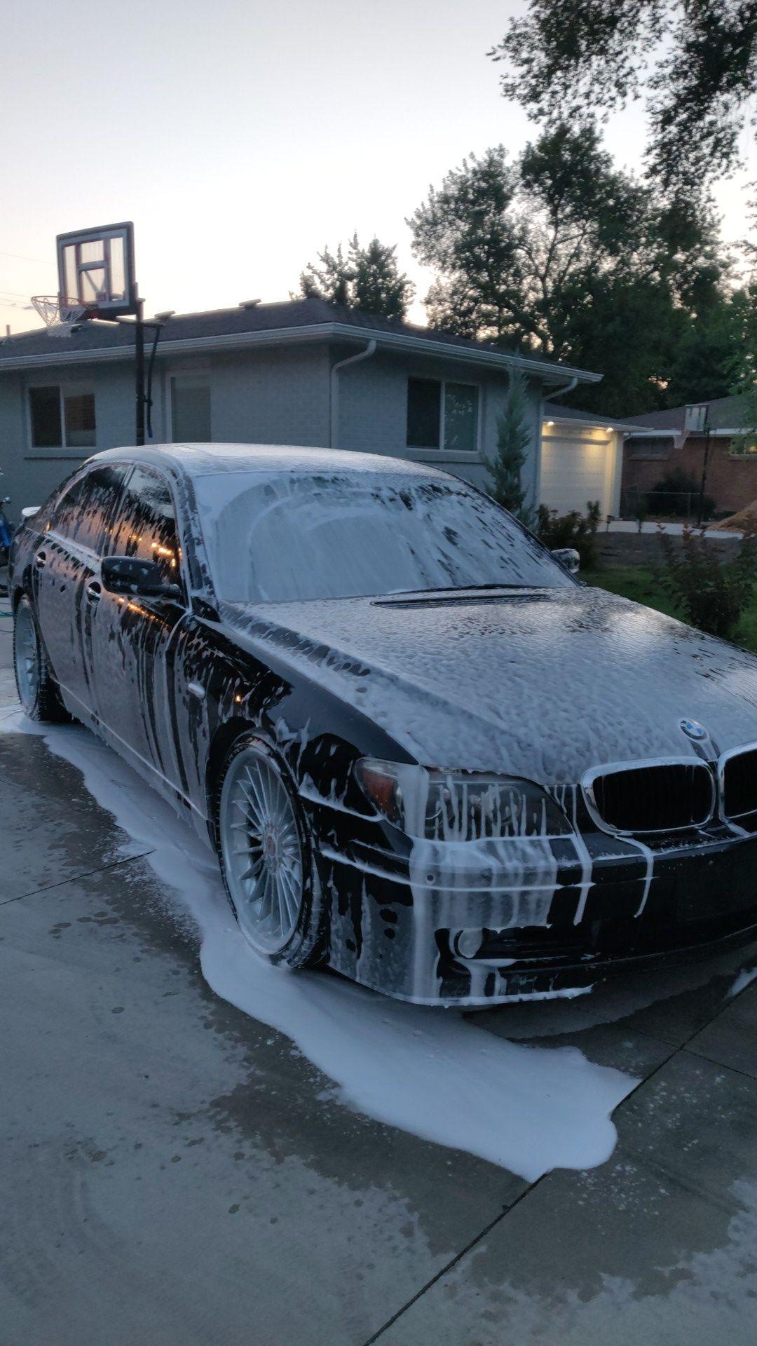 Boise's Top Dog Detailing