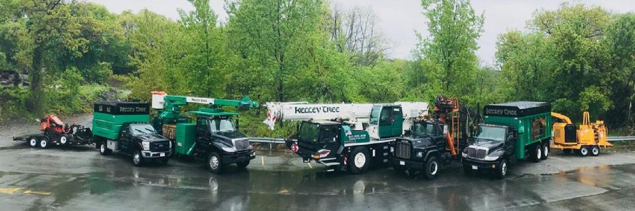 Kelly Tree Service