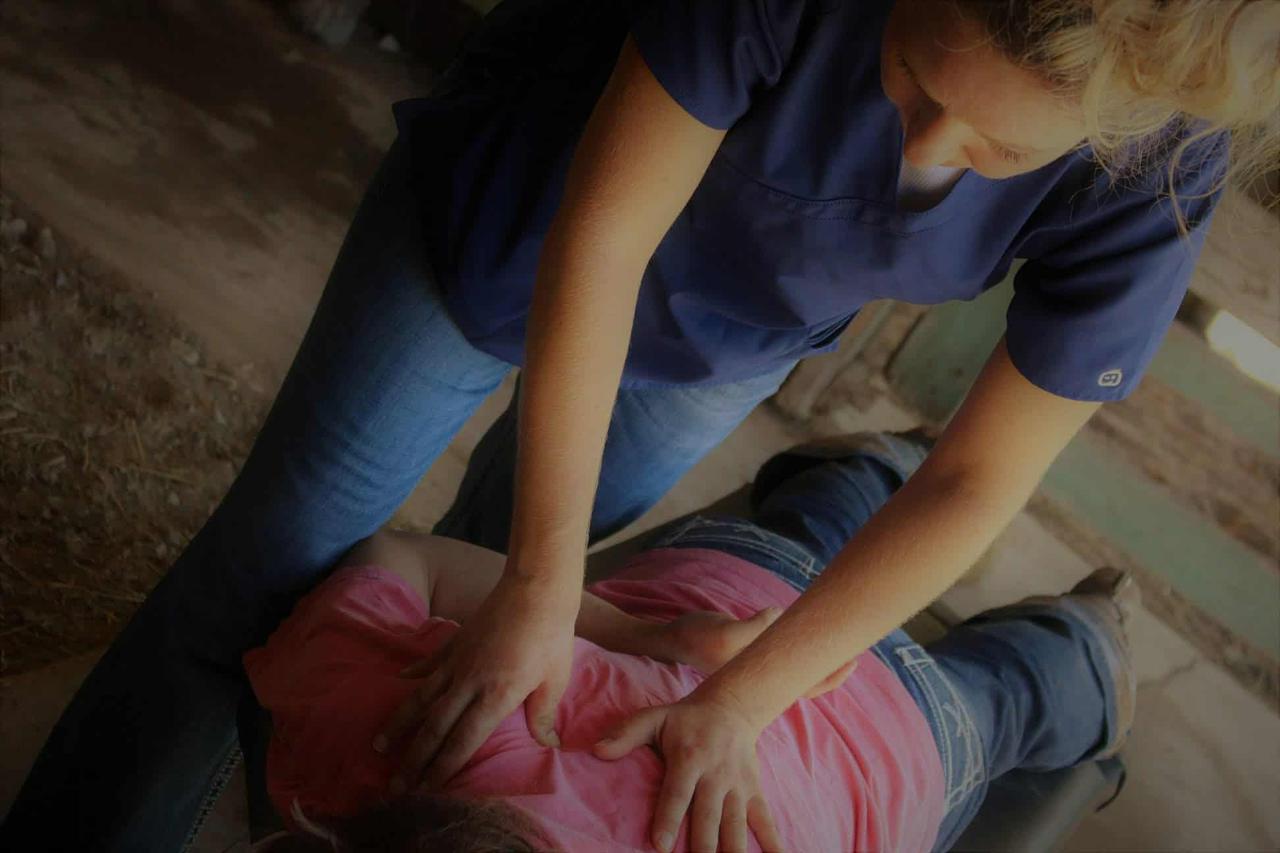 Cielo Chiropractic PLLC