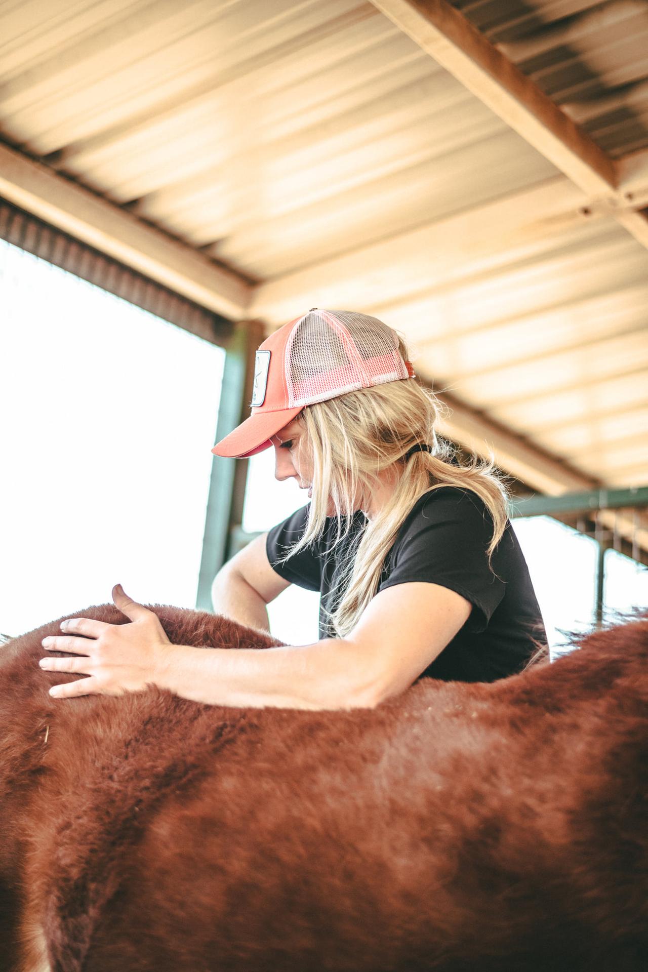 Cielo Chiropractic PLLC