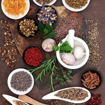 Salt of Life Natural Health