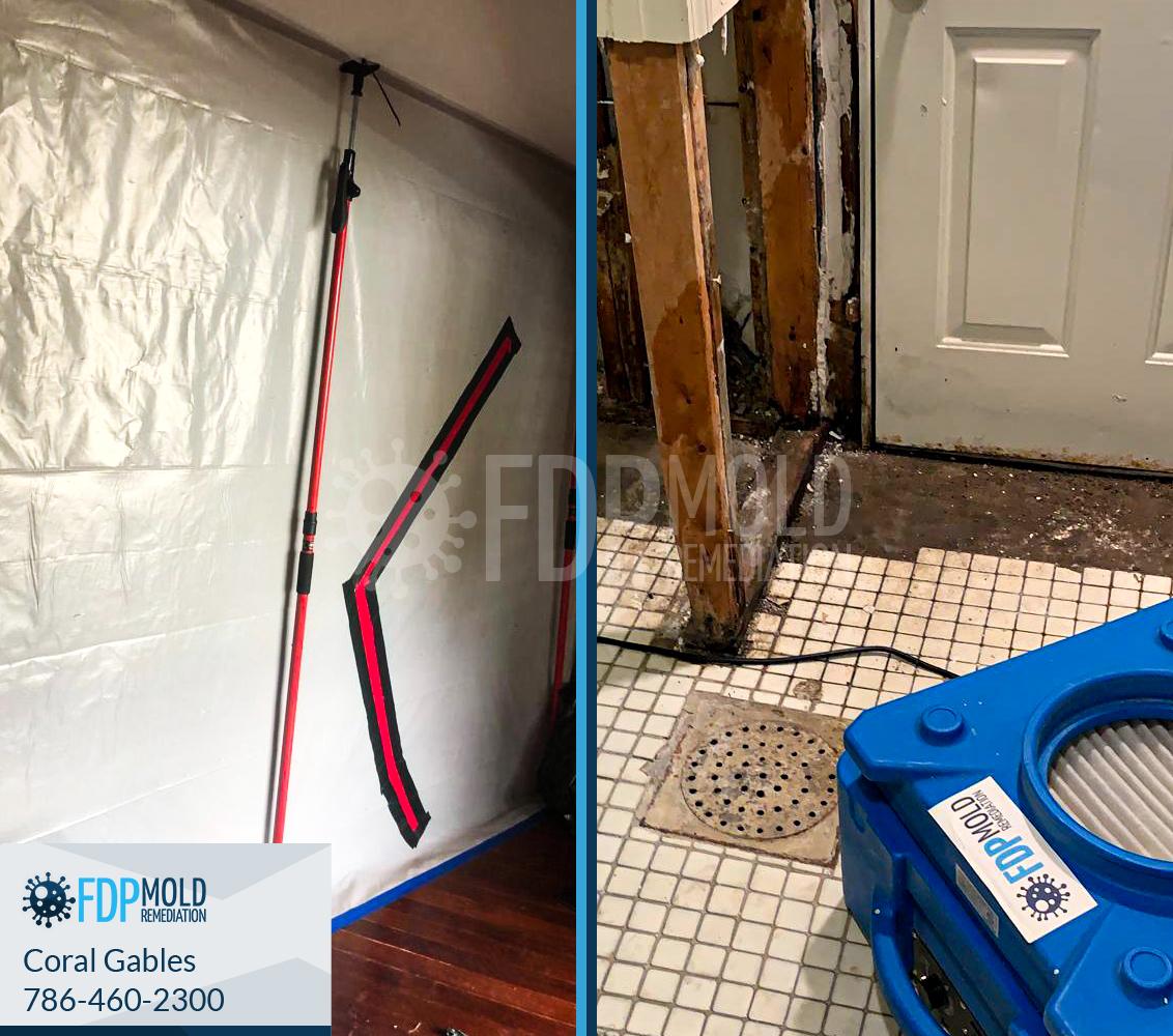 FDP Mold Remediation of Coral Gables