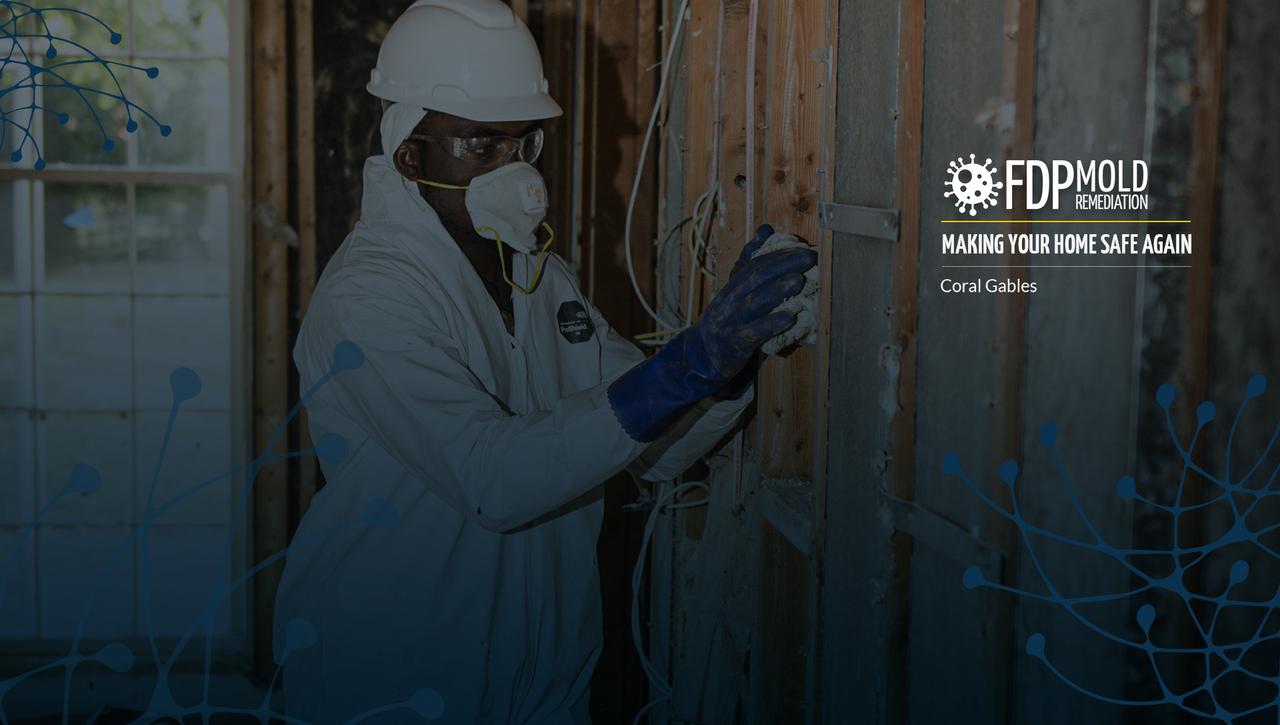 FDP Mold Remediation of Coral Gables
