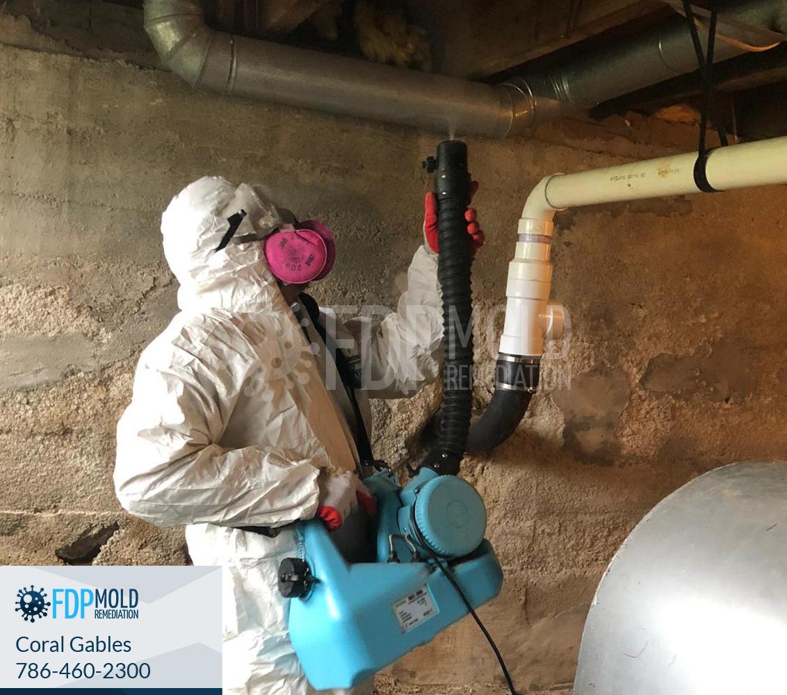 FDP Mold Remediation of Coral Gables