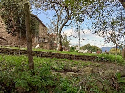 Fraser city landmark