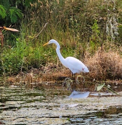 Oldsmar city landmark