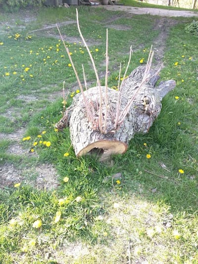 Conestogo city landmark