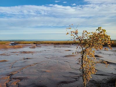 Wolfville city landmark
