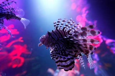 Auburn Hills city landmark