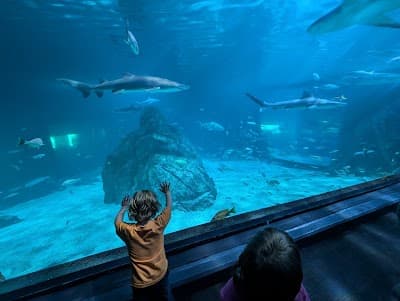 Camden city landmark