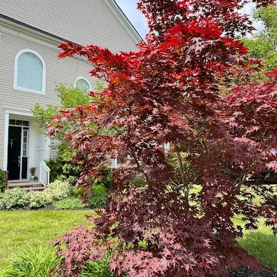 Cherry Hill city landmark