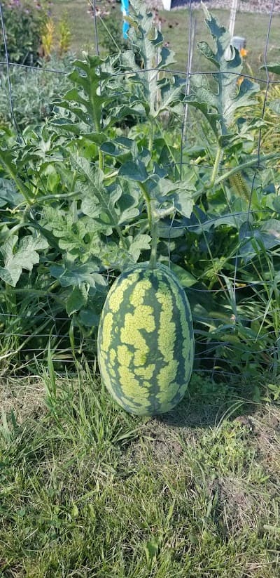 Cottage Grove city landmark