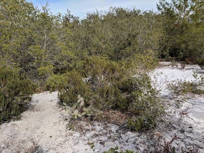 Deltona city landmark