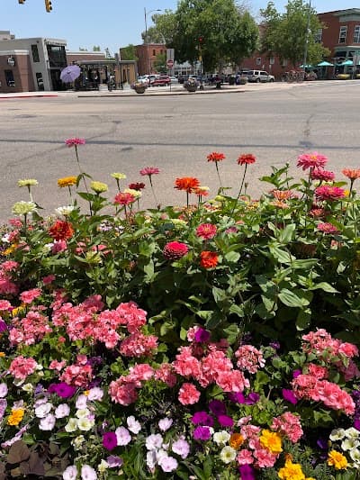 Fort Collins city landmark