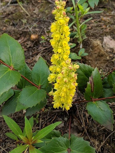 Holden city landmark