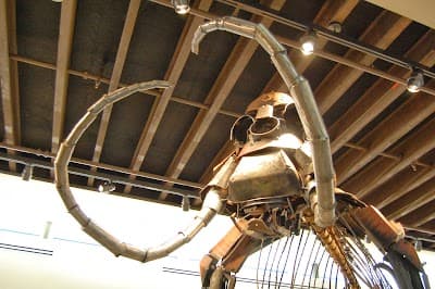 Moses Lake city landmark