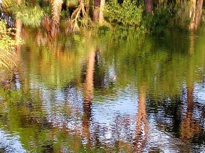 Osprey city landmark