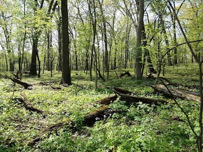 Palos Park city landmark