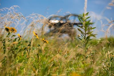 Perryville city landmark
