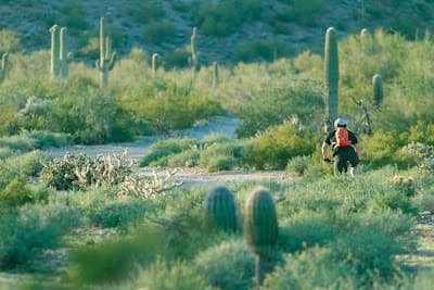 San Tan Valley city landmark
