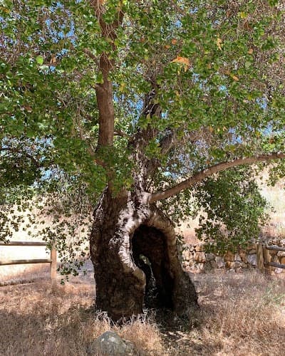 Santa Clarita city landmark