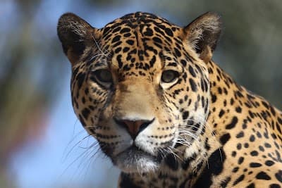 Stoneham city landmark