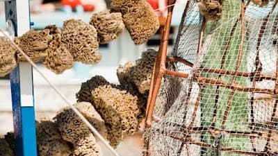 Tarpon Springs city landmark