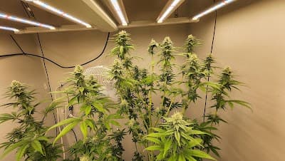 Taylor city landmark