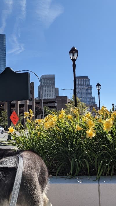 White Plains city landmark