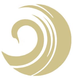 Dina's Hair Vogue logo
