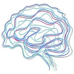 Brain Spa logo
